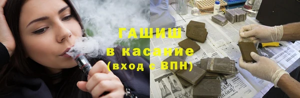 индика Бородино